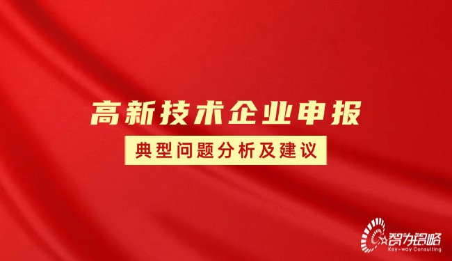 高新技術(shù)企業(yè)申報(bào)典型問(wèn)題分析及建議.jpg